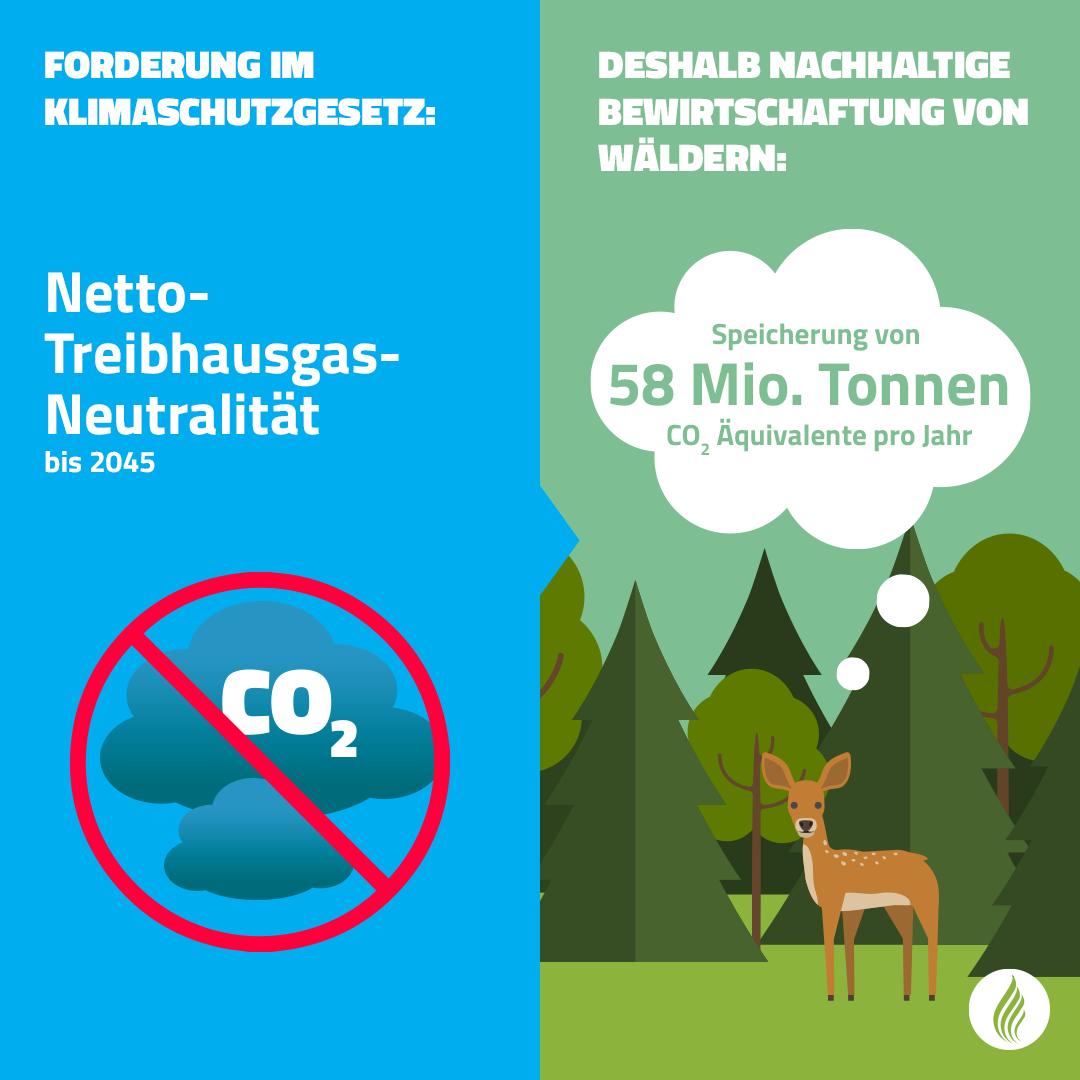 infografik Klimaschutzgesetz: Wald & Moore schützen